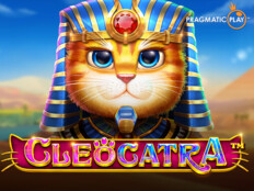 Slot casino games online. Gri scottish fold.59